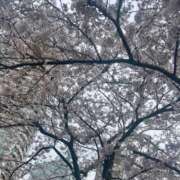 ヒメ日記 2026/04/07 23:18 投稿 みらい 贅沢なひと時
