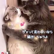 ヒメ日記 2026/01/07 19:16 投稿 つばき 横浜人妻ヒットパレード（シンデレラグループ）