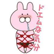 みすず 本日出勤でーす 千葉人妻花壇