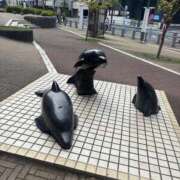 ヒメ日記 2026/04/13 15:30 投稿 みすず 千葉人妻花壇