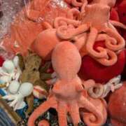 ヒメ日記 2026/04/20 17:12 投稿 みすず 千葉人妻花壇