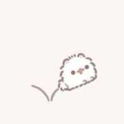 ヒメ日記 2025/09/19 11:02 投稿 高田　かなた NADIA神戸店