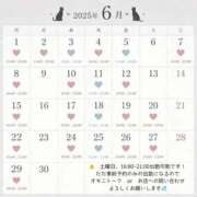 ヒメ日記 2026/06/11 12:21 投稿 高田　かなた NADIA神戸店