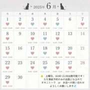 ヒメ日記 2026/06/14 20:11 投稿 高田　かなた NADIA神戸店