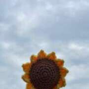 ヒメ日記 2025/07/05 16:58 投稿 ひまり チューリップ土浦店