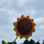 ヒメ日記 2025/07/06 08:24 投稿 ひまり チューリップ土浦店