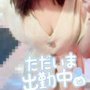 ヒメ日記 2025/08/12 17:38 投稿 ひまり チューリップ土浦店