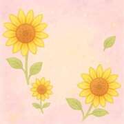 ヒメ日記 2025/08/27 16:08 投稿 ひまり チューリップ土浦店