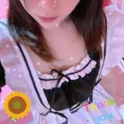 ヒメ日記 2025/11/15 19:58 投稿 ひまり チューリップ土浦店