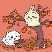 ヒメ日記 2025/11/02 00:56 投稿 海乃さり Claris Tokyo～クラリス東京～