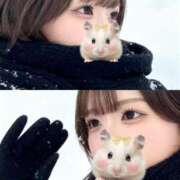 ヒメ日記 2025/11/27 15:06 投稿 海乃さり Claris Tokyo～クラリス東京～