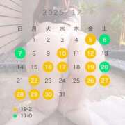 ヒメ日記 2025/11/22 22:20 投稿 ひな ごほうびSPA 大阪店