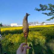 ヒメ日記 2025/07/14 17:31 投稿 カリナ マテリアル