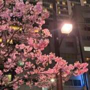 ヒメ日記 2026/03/23 22:46 投稿 カリナ マテリアル