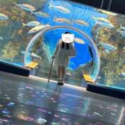 ヒメ日記 2026/02/14 15:44 投稿 あみゅ ぽちゃぶらんか金沢店（カサブランカグループ）