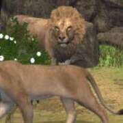 ヒメ日記 2025/07/14 18:52 投稿 ぐら 香川サンキュー