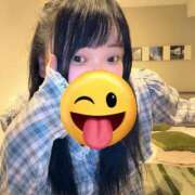 ヒメ日記 2025/07/23 12:28 投稿 ぐら 香川サンキュー