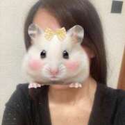 ヒメ日記 2025/07/06 12:04 投稿 せい 人妻㊙︎倶楽部