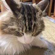 ヒメ日記 2025/07/07 19:42 投稿 せい 人妻㊙︎倶楽部