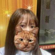 せい おはよーございます 人妻㊙︎倶楽部