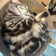 ヒメ日記 2025/08/09 13:00 投稿 ぷりん ぷるりんクエスト上野浅草鶯谷秋葉原デリヘル王国