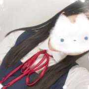 ヒメ日記 2025/11/29 17:14 投稿 ぷりん ぷるりんクエスト上野浅草鶯谷秋葉原デリヘル王国