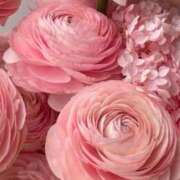 ヒメ日記 2025/07/03 07:40 投稿 やよい あげまん 梅田店