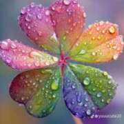 ヒメ日記 2025/09/15 07:15 投稿 せん あげまん 梅田店