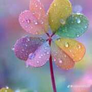 ヒメ日記 2025/09/25 23:46 投稿 せん あげまん 梅田店