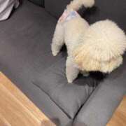 ヒメ日記 2025/08/19 20:25 投稿 かれん WHITE（金沢）