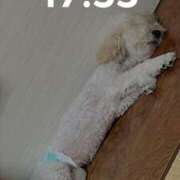 ヒメ日記 2025/09/11 20:20 投稿 かれん WHITE（金沢）