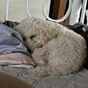 ヒメ日記 2025/09/18 22:57 投稿 かれん WHITE（金沢）