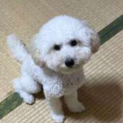 ヒメ日記 2025/09/20 21:45 投稿 かれん WHITE（金沢）