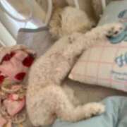 ヒメ日記 2025/10/11 20:32 投稿 かれん WHITE（金沢）