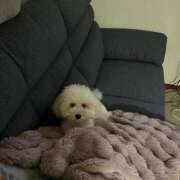 ヒメ日記 2025/10/25 21:02 投稿 かれん WHITE（金沢）