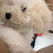 ヒメ日記 2025/11/05 22:30 投稿 かれん WHITE（金沢）