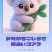 ヒメ日記 2026/01/03 21:03 投稿 かれん CLUB ROOKIE（ルーキー）