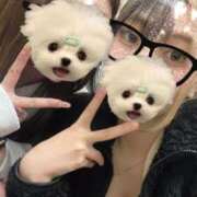 ヒメ日記 2026/01/06 21:22 投稿 かれん CLUB ROOKIE（ルーキー）