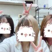 ヒメ日記 2026/04/12 23:02 投稿 かれん CLUB ROOKIE（ルーキー）