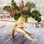 ヒメ日記 2026/03/28 09:15 投稿 みお あげまん 梅田店