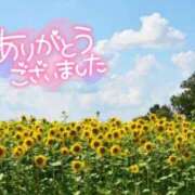 ヒメ日記 2025/07/23 02:23 投稿 とうか あげまん 梅田店