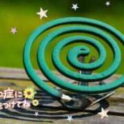 ヒメ日記 2025/07/24 23:44 投稿 とうか あげまん 梅田店