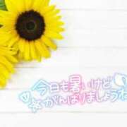 ヒメ日記 2025/08/01 12:59 投稿 とうか あげまん 梅田店