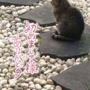 ヒメ日記 2025/08/30 00:57 投稿 とうか あげまん 梅田店