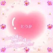 ヒメ日記 2025/09/03 03:47 投稿 とうか あげまん 梅田店