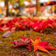 ヒメ日記 2025/09/10 17:15 投稿 とうか あげまん 梅田店