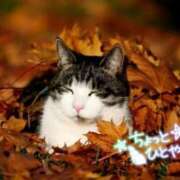 ヒメ日記 2025/09/17 16:47 投稿 とうか あげまん 梅田店