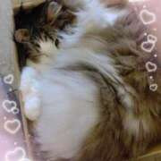 ヒメ日記 2025/12/16 14:49 投稿 とうか あげまん 梅田店