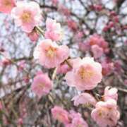 ヒメ日記 2026/03/13 12:52 投稿 とうか あげまん 梅田店