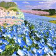 ヒメ日記 2026/03/24 12:52 投稿 とうか あげまん 梅田店